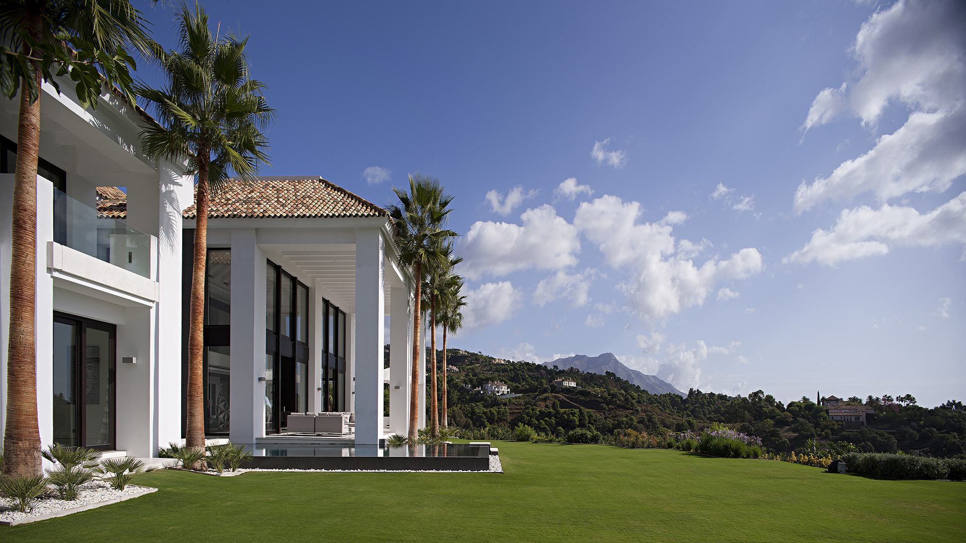 Villa Palo Alto's modern white exterior, palm trees, infinity pool, and lush green lawn against Marbella mountains.